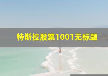 特斯拉股票1001无标题