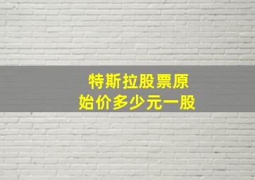 特斯拉股票原始价多少元一股