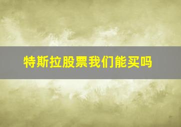 特斯拉股票我们能买吗