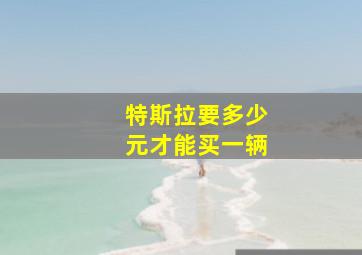 特斯拉要多少元才能买一辆