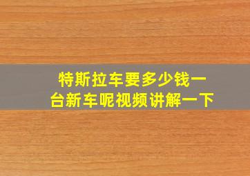 特斯拉车要多少钱一台新车呢视频讲解一下