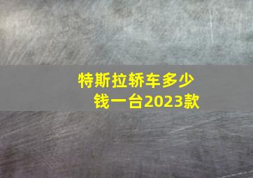 特斯拉轿车多少钱一台2023款