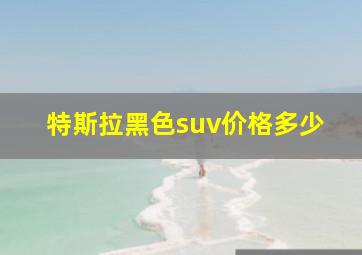 特斯拉黑色suv价格多少