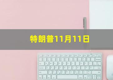 特朗普11月11日