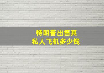 特朗普出售其私人飞机多少钱