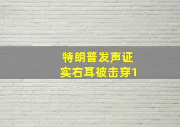 特朗普发声证实右耳被击穿1