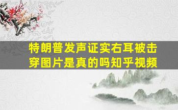 特朗普发声证实右耳被击穿图片是真的吗知乎视频