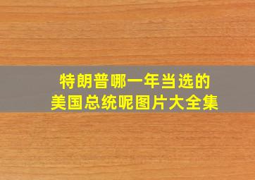 特朗普哪一年当选的美国总统呢图片大全集