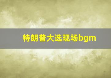 特朗普大选现场bgm