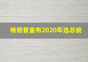 特朗普宣布2020年选总统