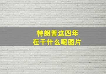 特朗普这四年在干什么呢图片