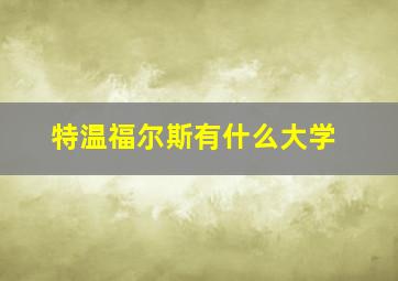 特温福尔斯有什么大学