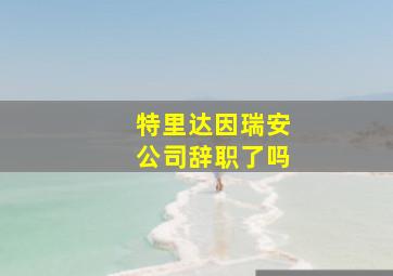 特里达因瑞安公司辞职了吗