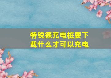 特锐德充电桩要下载什么才可以充电