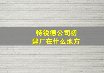 特锐德公司初建厂在什么地方