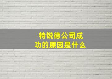 特锐德公司成功的原因是什么