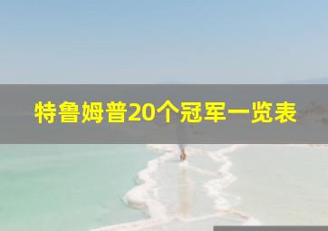 特鲁姆普20个冠军一览表