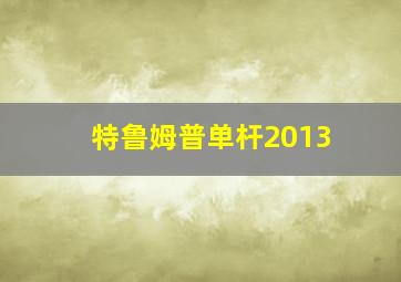 特鲁姆普单杆2013