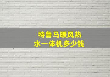 特鲁马暖风热水一体机多少钱