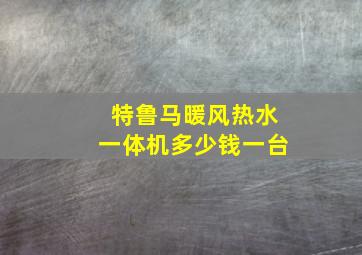 特鲁马暖风热水一体机多少钱一台