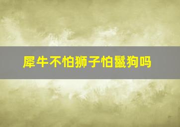 犀牛不怕狮子怕鬣狗吗