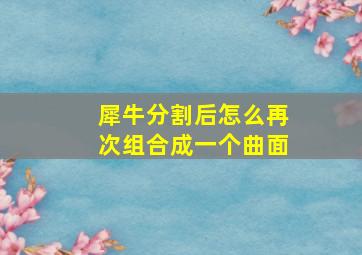 犀牛分割后怎么再次组合成一个曲面