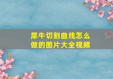 犀牛切割曲线怎么做的图片大全视频