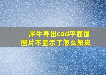 犀牛导出cad平面图图片不显示了怎么解决