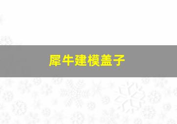 犀牛建模盖子