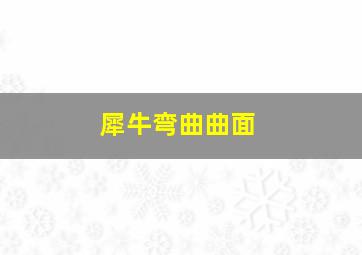 犀牛弯曲曲面