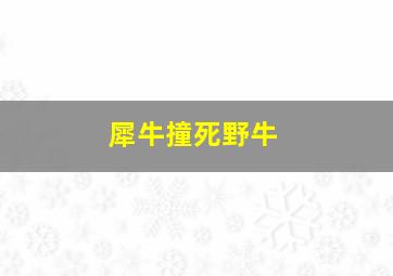 犀牛撞死野牛