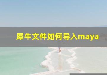 犀牛文件如何导入maya