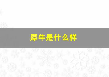 犀牛是什么样