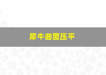 犀牛曲面压平