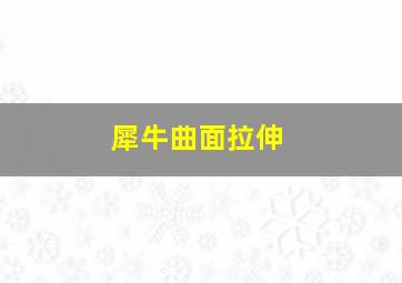 犀牛曲面拉伸