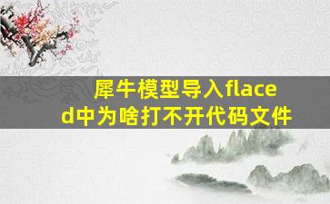 犀牛模型导入flaced中为啥打不开代码文件