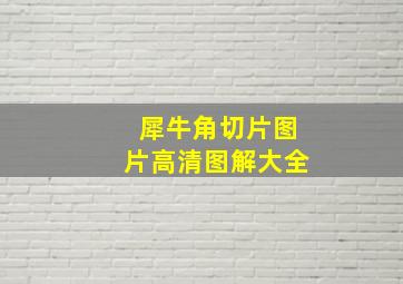 犀牛角切片图片高清图解大全