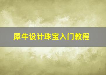 犀牛设计珠宝入门教程