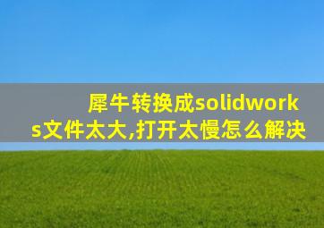 犀牛转换成solidworks文件太大,打开太慢怎么解决