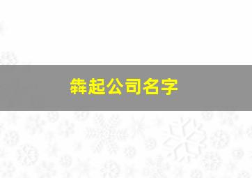 犇起公司名字