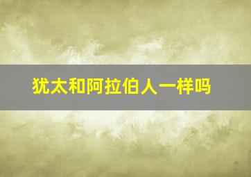 犹太和阿拉伯人一样吗