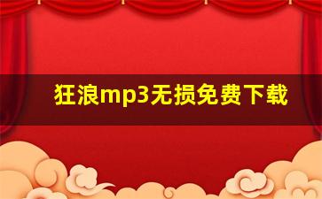 狂浪mp3无损免费下载