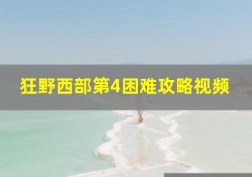 狂野西部第4困难攻略视频