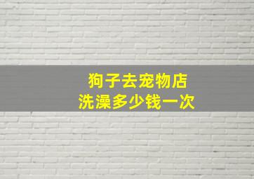 狗子去宠物店洗澡多少钱一次