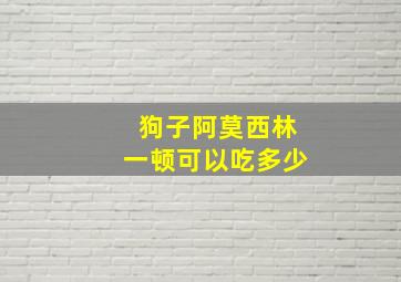 狗子阿莫西林一顿可以吃多少