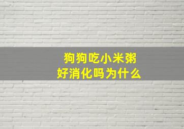 狗狗吃小米粥好消化吗为什么