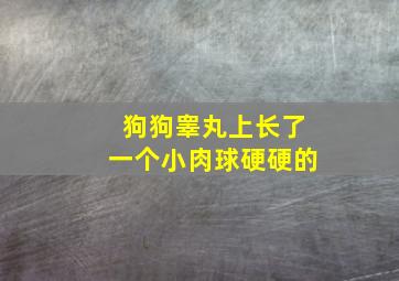 狗狗睾丸上长了一个小肉球硬硬的