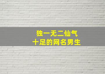 独一无二仙气十足的网名男生