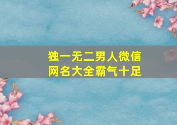 独一无二男人微信网名大全霸气十足