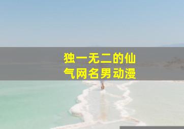 独一无二的仙气网名男动漫